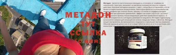 прущие грибы Алексеевка