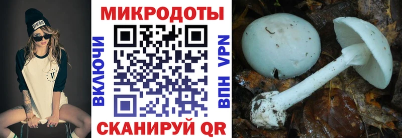 Псилоцибиновые грибы мицелий  Туринск 